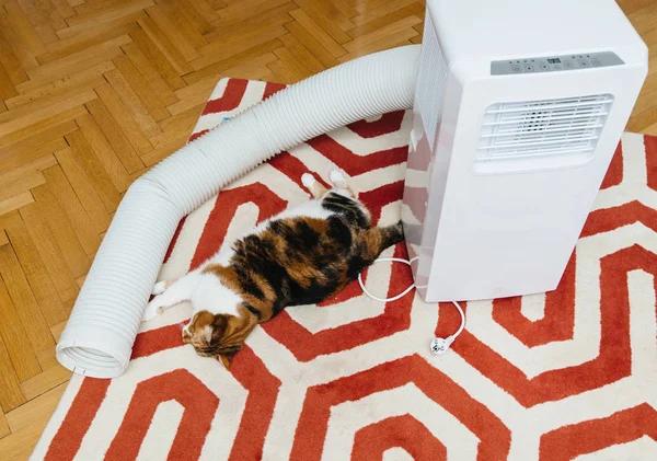 What to Expect from Professional AC Installation Sarasota Services