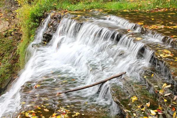 Common Causes of Water Leaks Severna Park and How to Prevent Them