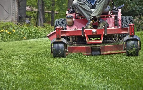 What to Consider Before Hiring a Landscaping Services Provider